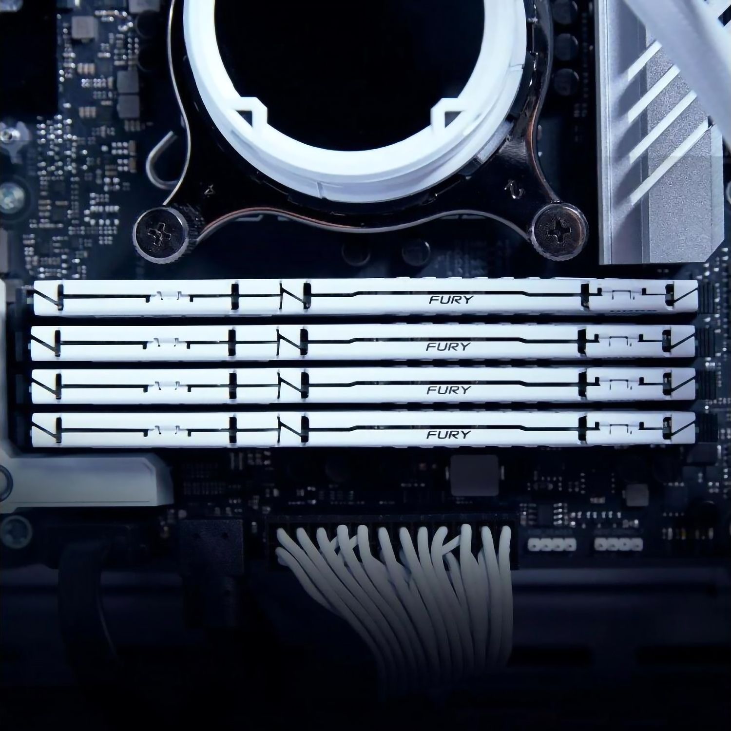 Память оперативная Kingston FURY Beast KF560C36BWE2-16